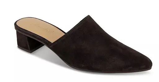 Splendid Women's Lorelei Pointed Toe Slip On Pumps